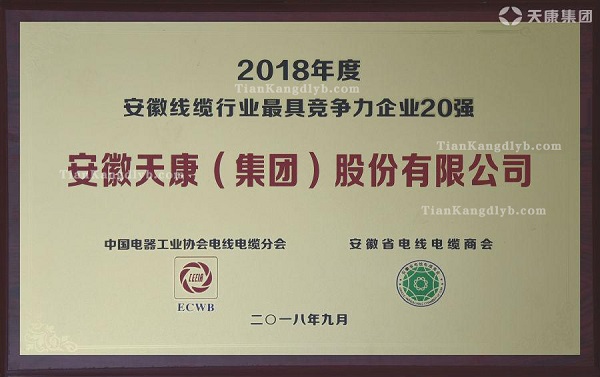 最具競(jìng)爭力榮譽(yù)證書