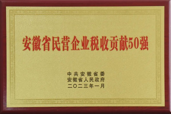2022年度安徽省民營企業(yè)稅收貢獻(xiàn)50強(qiáng)